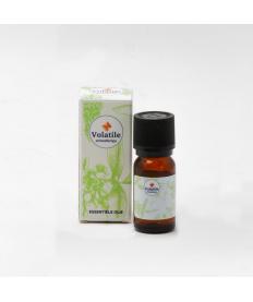 Arnica CO2-TO
