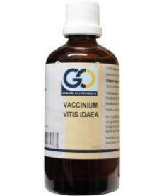 Vaccinum vitis idaea bio