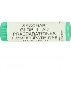 Saccharum officinalis / placebo