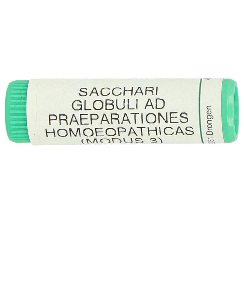 Saccharum officinalis / placebo