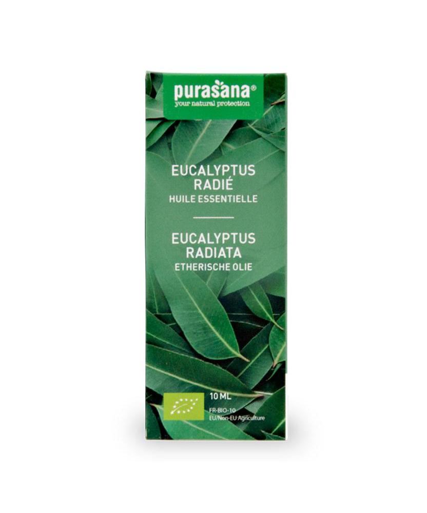 Eucalyptus radiata olie bio