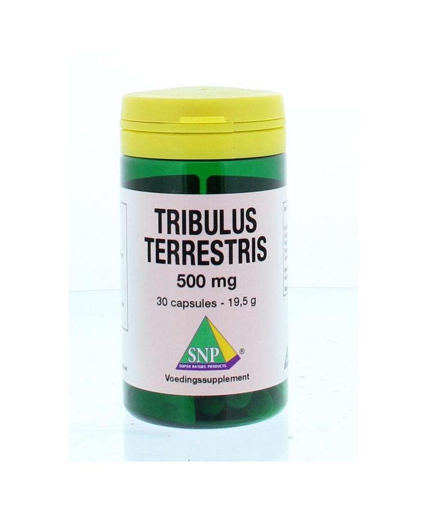 Tribulus terrestris 500 mg