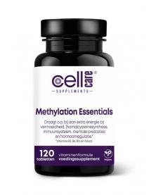 Methylation essentials