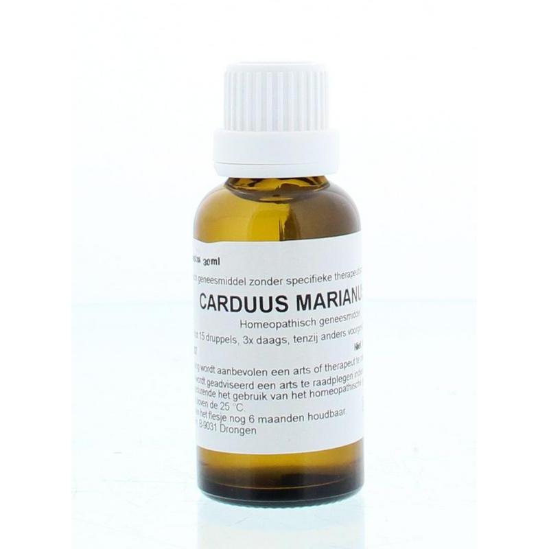 Carduus marianus D6