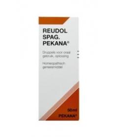 Reudol spag (apo rheum)