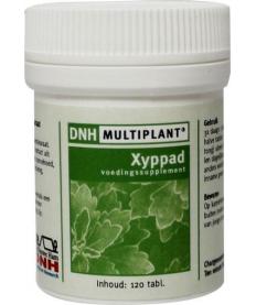 Xyppad multiplant