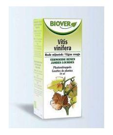 Vitis vinifera bio