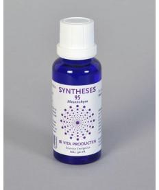 Syntheses 95 mesenchym